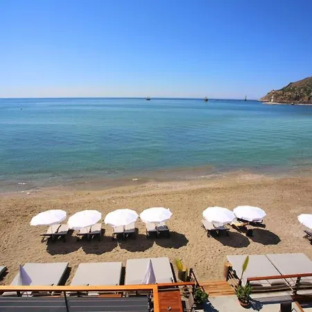 Exodus Mahmutlar B Blok Apartment Alanya